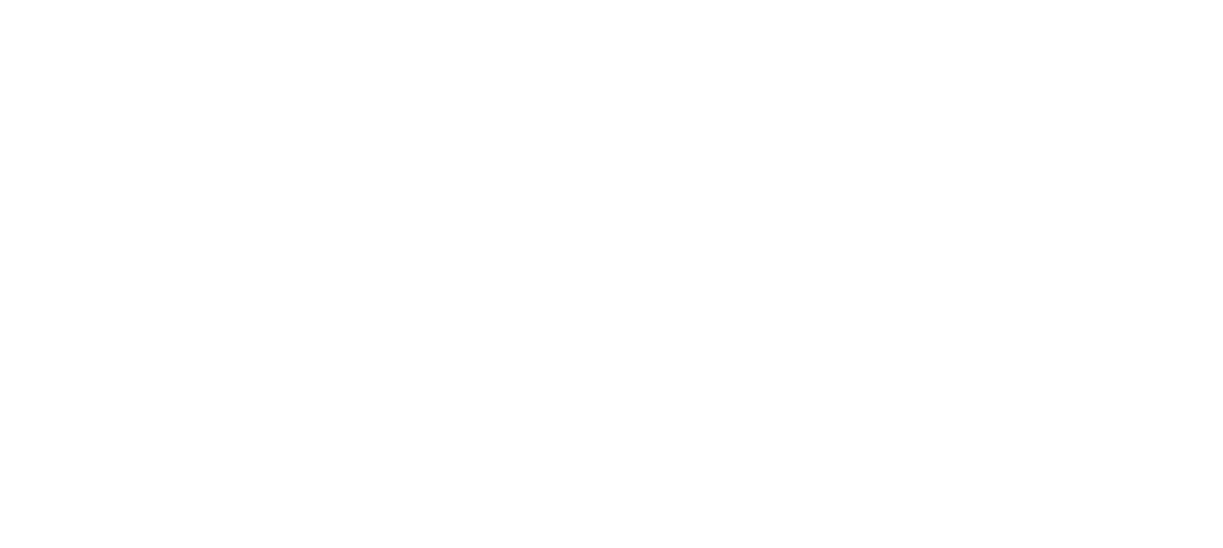 STRV logo